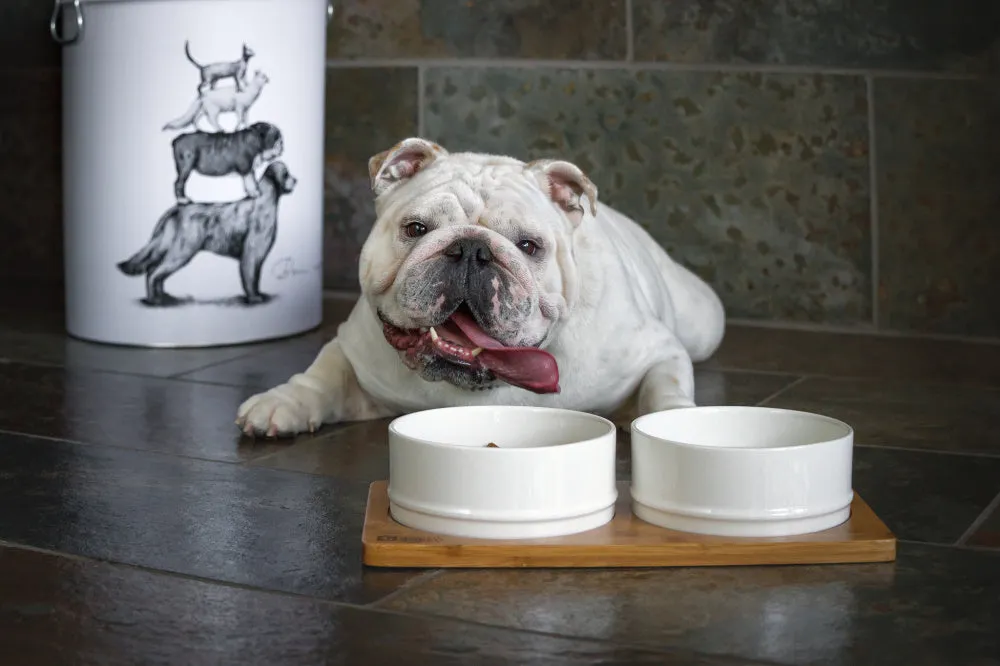 BeOneBreed White Ceramic Bowls on Bamboo Base