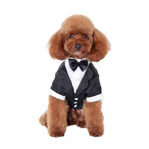 Black Tuxedo Small - Medium Dogs