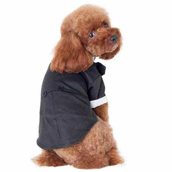 Black Tuxedo Small - Medium Dogs