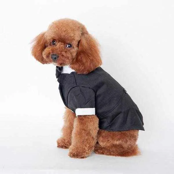 Black Tuxedo Small - Medium Dogs