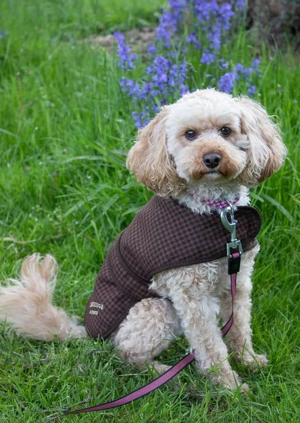 Dog Coat - Brown Gingham