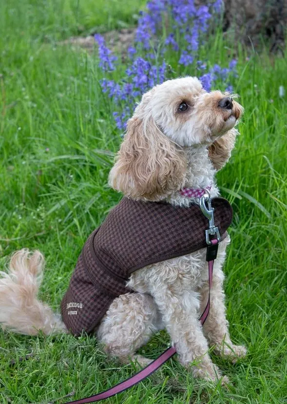 Dog Coat - Brown Gingham