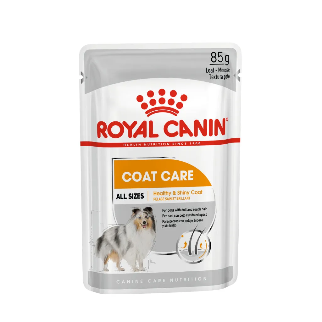 Royal Canin Coat Care Loaf (85g x 12 Pouches) Adult Wet Dog Food - Canine Care Nutrition