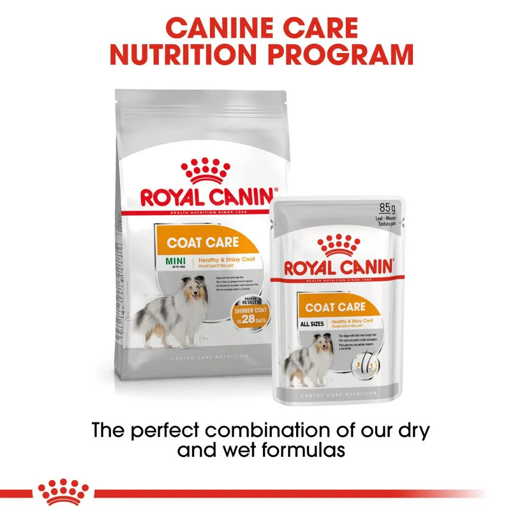 Royal Canin Coat Care Loaf (85g x 12 Pouches) Adult Wet Dog Food - Canine Care Nutrition