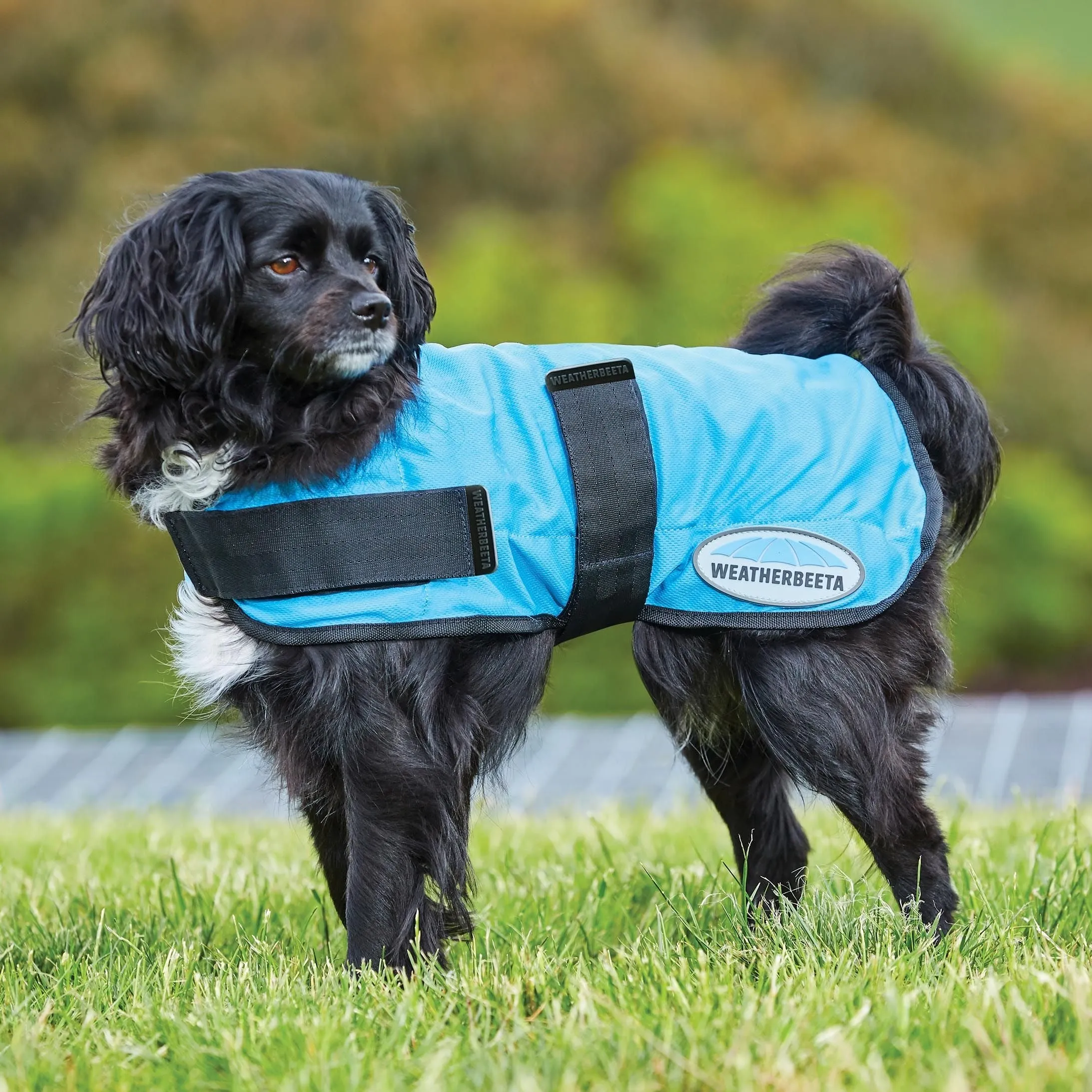 Weatherbeeta Therapy-Tec Cooling Dog Coat