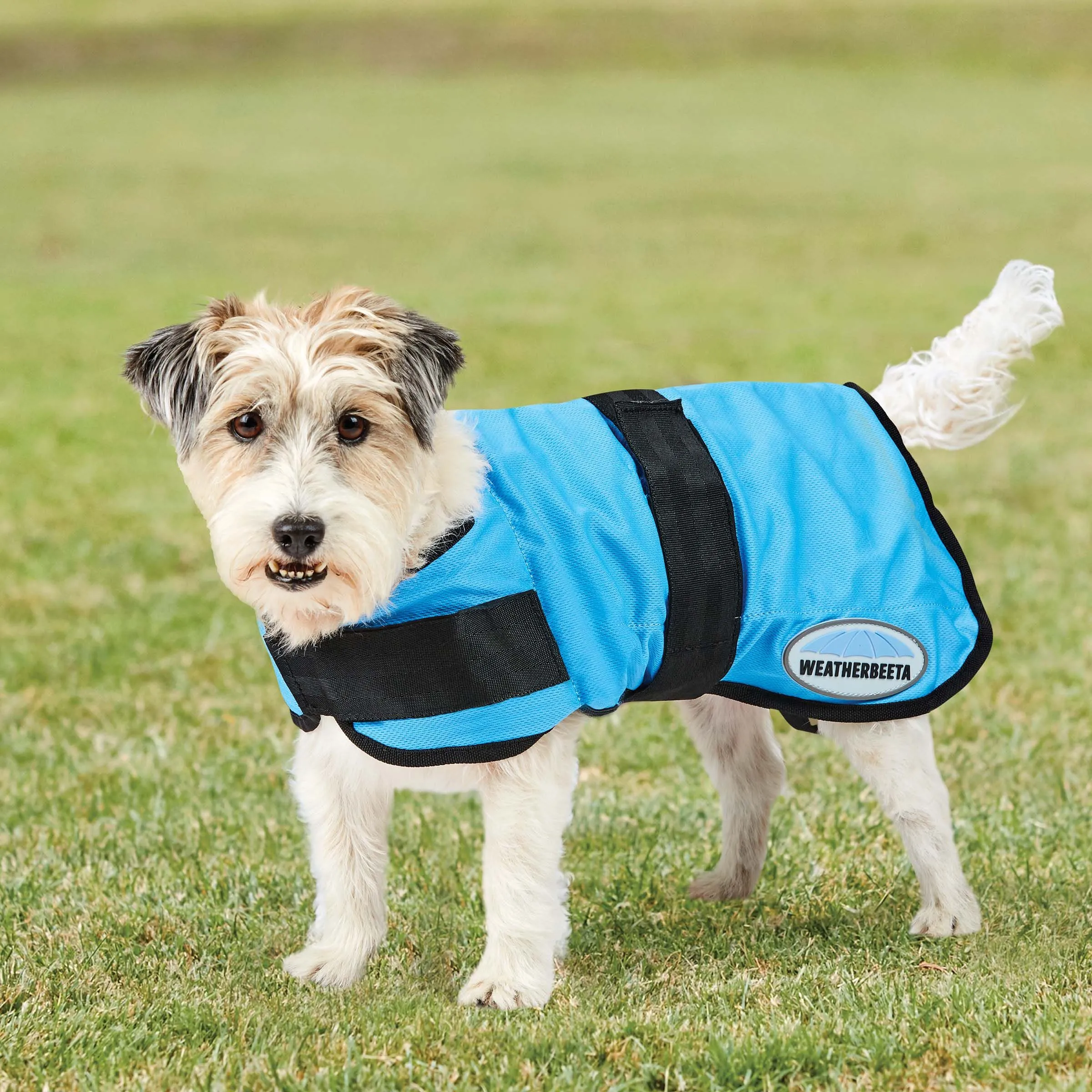 Weatherbeeta Therapy-Tec Cooling Dog Coat